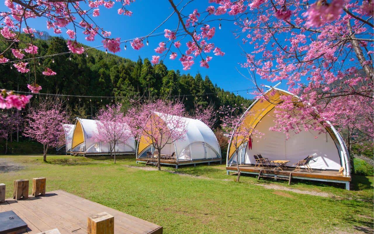 2025 Glamping 攻略指南:第一次玩 Glamping 就上手! 13 《蟬說:霧語》