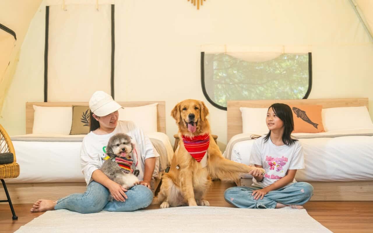 2025 Glamping 攻略指南:第一次玩 Glamping 就上手! 6 寵物可以進帳篷的Glamping