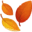 🍂