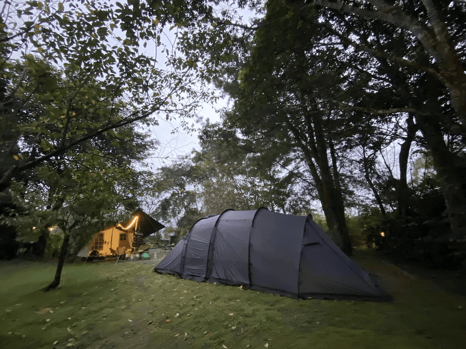 forest13