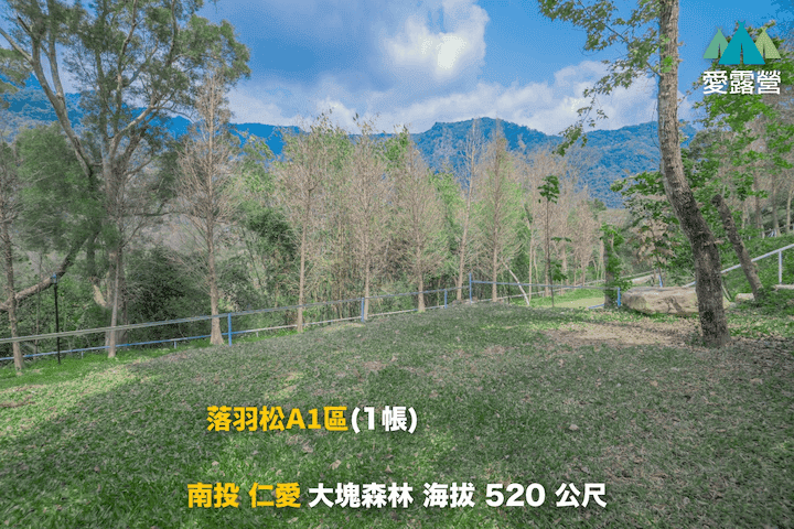 forest16