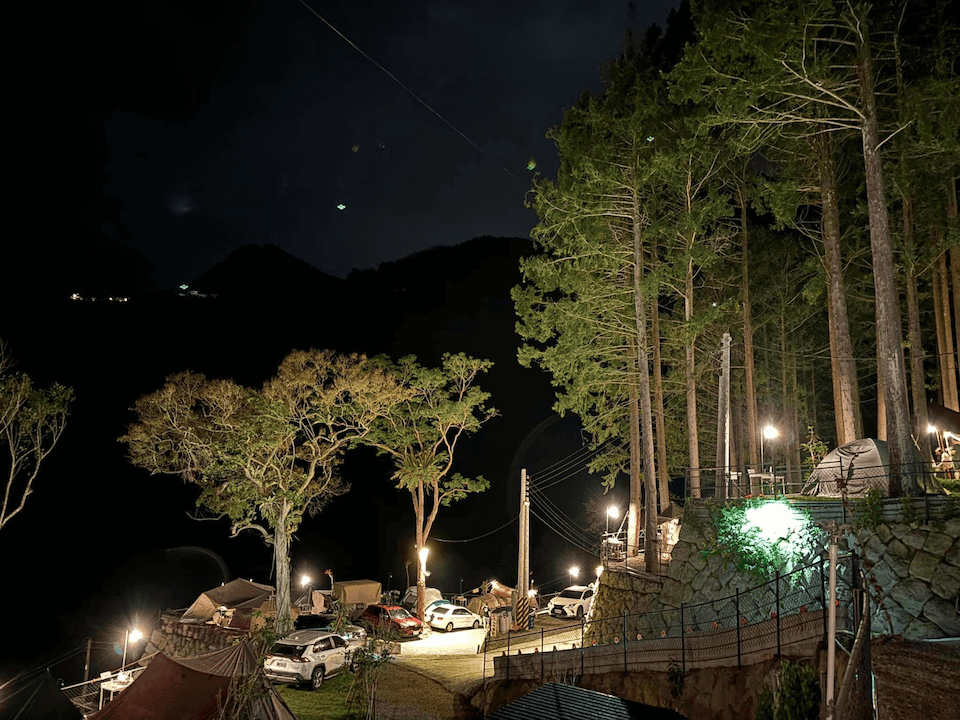 forest18