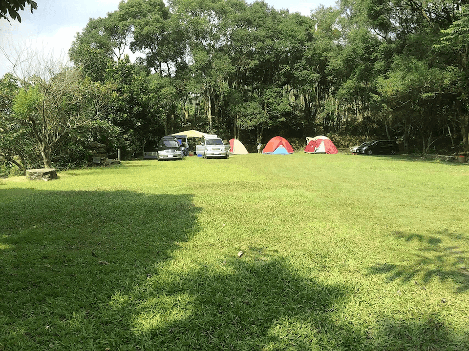 forest21