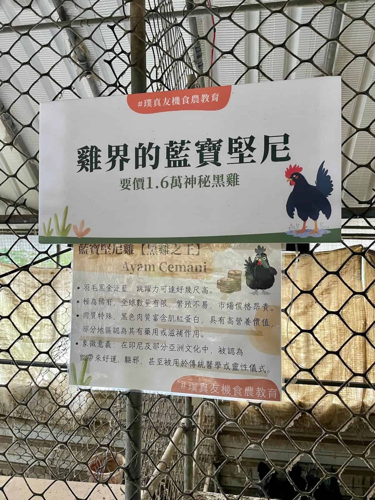 2025最新:【蟬說霧語】新竹五峰豪華露營,一泊二食+露營車+賞櫻秘境+部落體驗,開箱推薦! 75 一隻1.6萬元的藍寶堅尼雞
