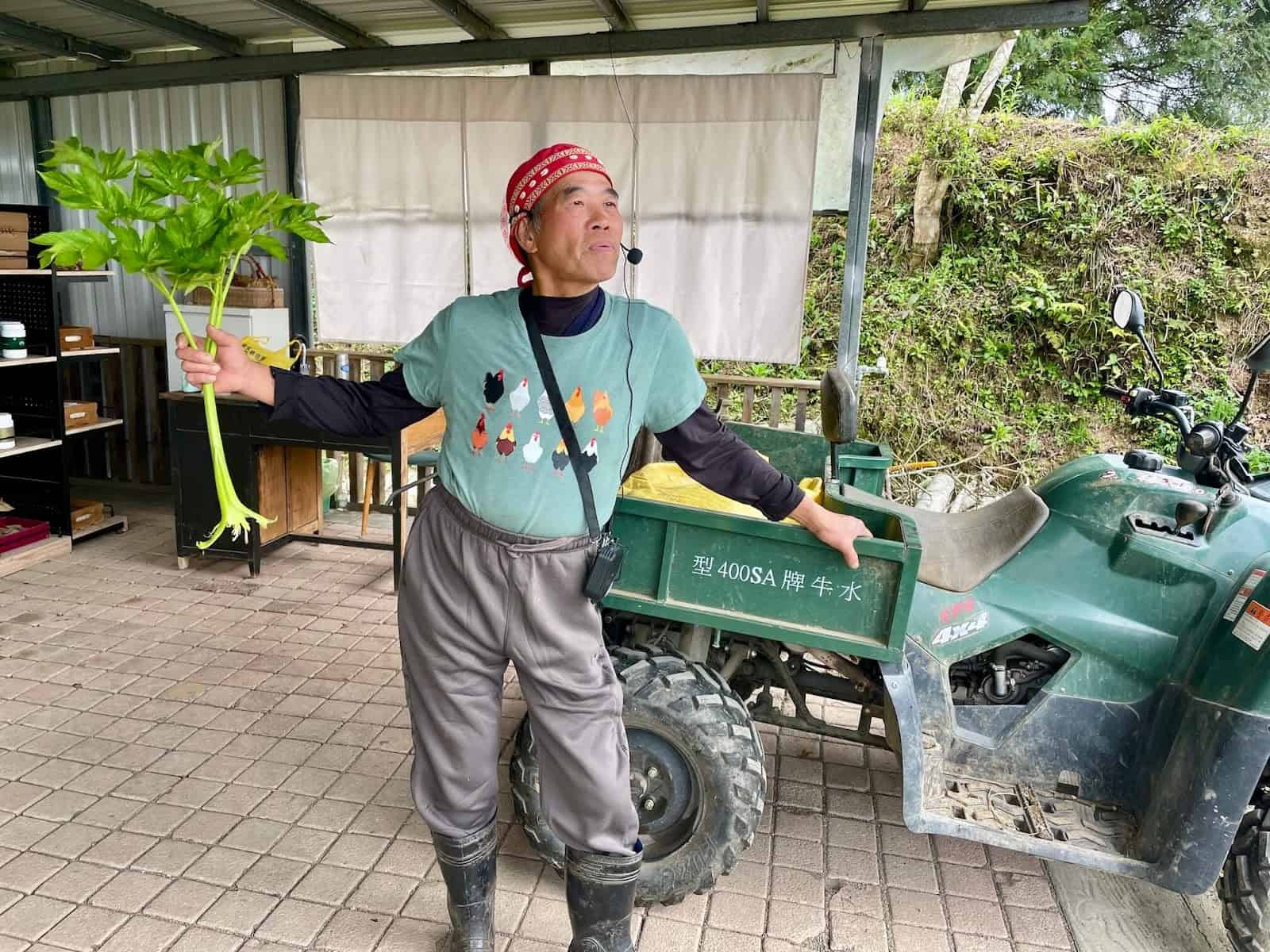 雞場主人手握明日葉
