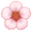 🌸
