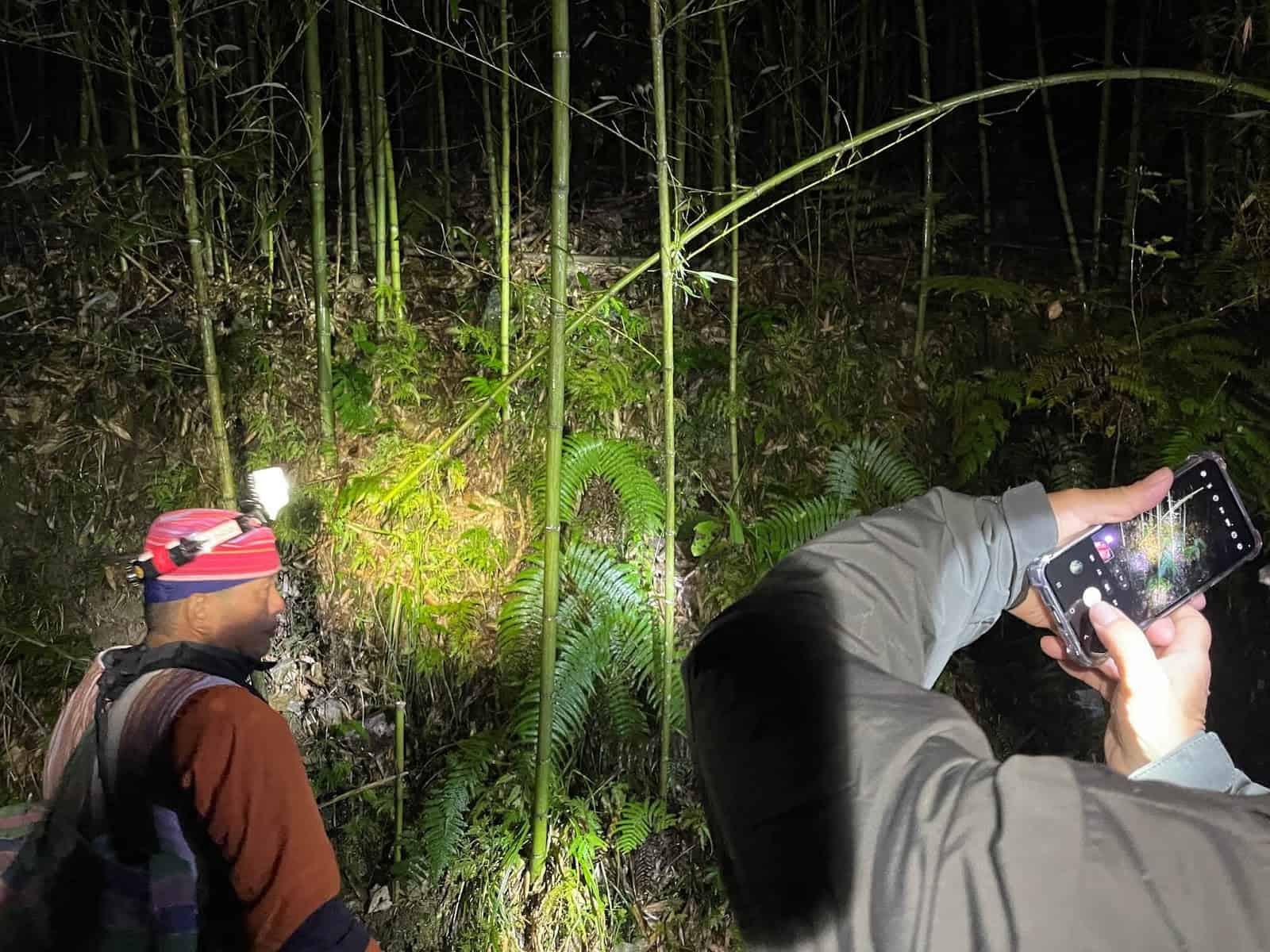 泰雅獵人文化－獵徑尋根：獵人狩獵山羌的陷阱