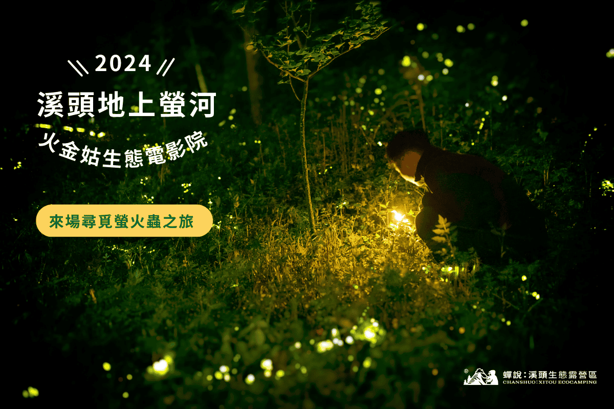 小朋友在草叢裡用找尋螢火蟲