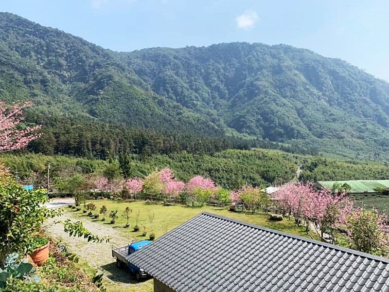 2025 櫻花露營區推薦:全台精選 Top 10 櫻花露營區 18 AD 4nXeIP66mLZsC2RfhEcFroQiLIqHxHXV Wx dXcmfSVkEsoj2rPREbZeaXk8 c0stuMw2xKUKUFYtzsCkBzvc58mPNW a22gW00W6T9jSjUUcQ AE 3Kgjxm87PdpiPfLDHlpHmskey7