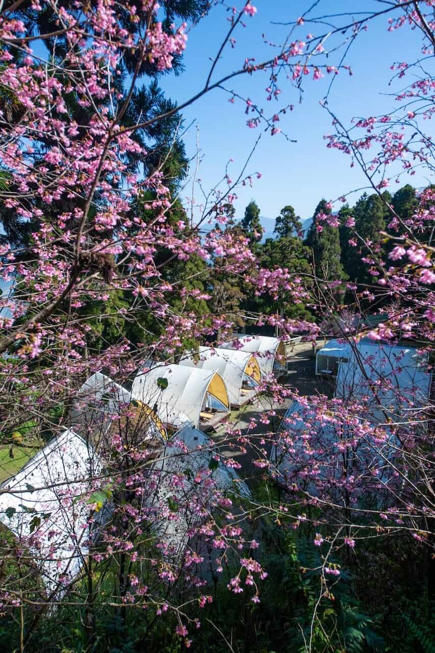 【蟬說霧繞】台灣最美豪華櫻花露營區開箱推薦 11 AD 4nXeQWRNhJ6HRPHzc7hNWXdIdjzBnLGBQ4FUxjs4vULoPQa7cFeUgUcr36d7GhQhjo8ItAoVU9LS UZyE5I3aGGGMQLfeanV1R5 dgw8Vg0s tstvXZ8A679Jw6yOuG KPwWFgR5zkey AmPtO6EmmC1FaN7TLspmGKc