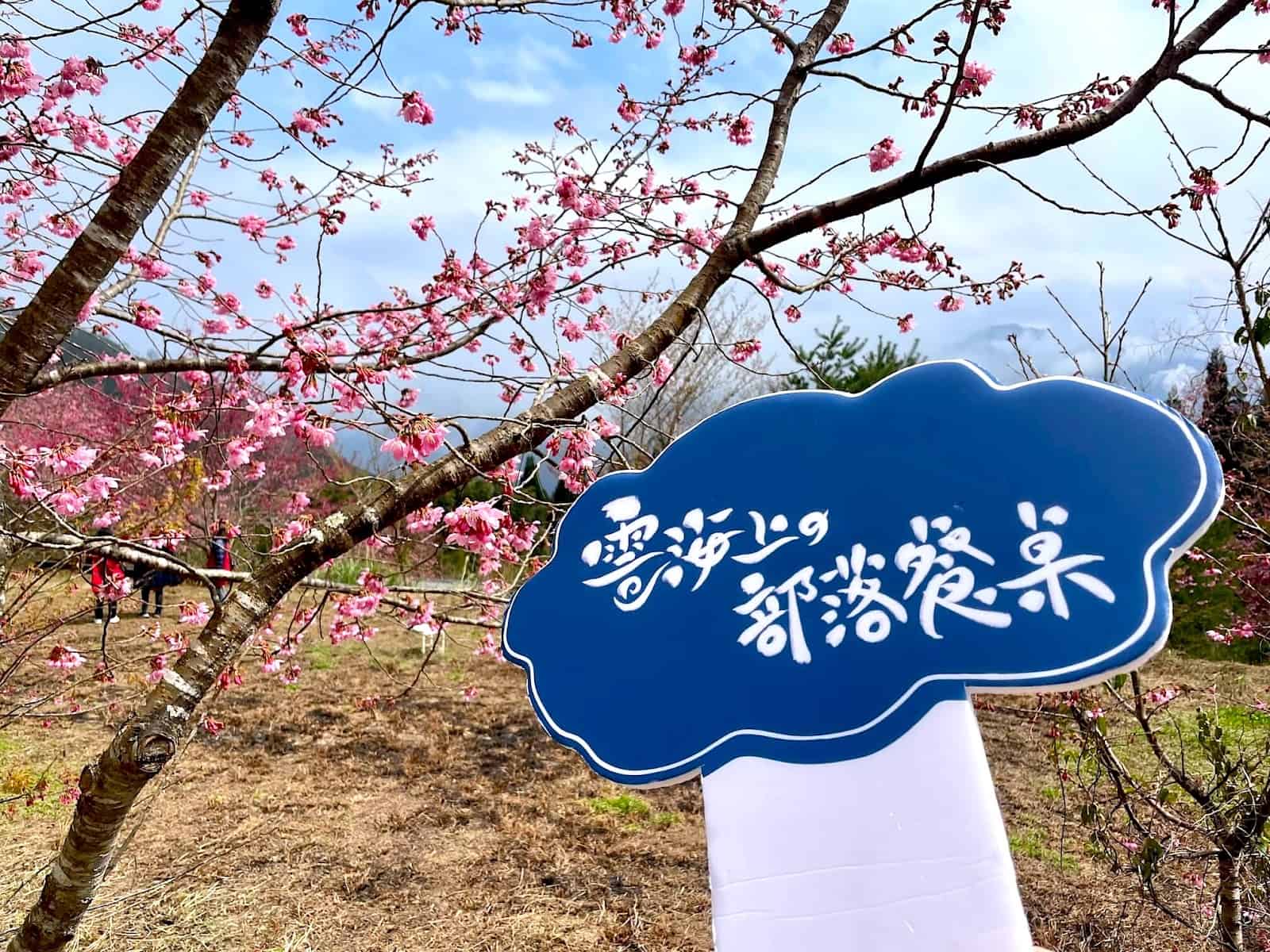 2025最新:【蟬說霧語】新竹五峰豪華露營,一泊二食+露營車+賞櫻秘境+部落體驗,開箱推薦! 58 雲海上的部落餐桌