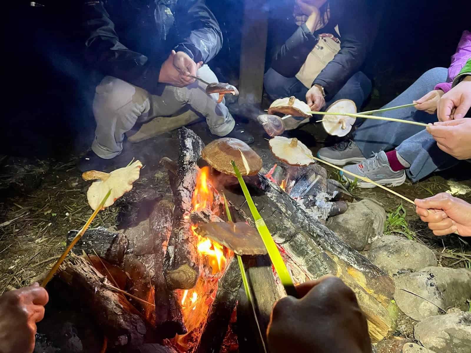 泰雅獵人文化－獵徑尋根：篝火烤段木香菇