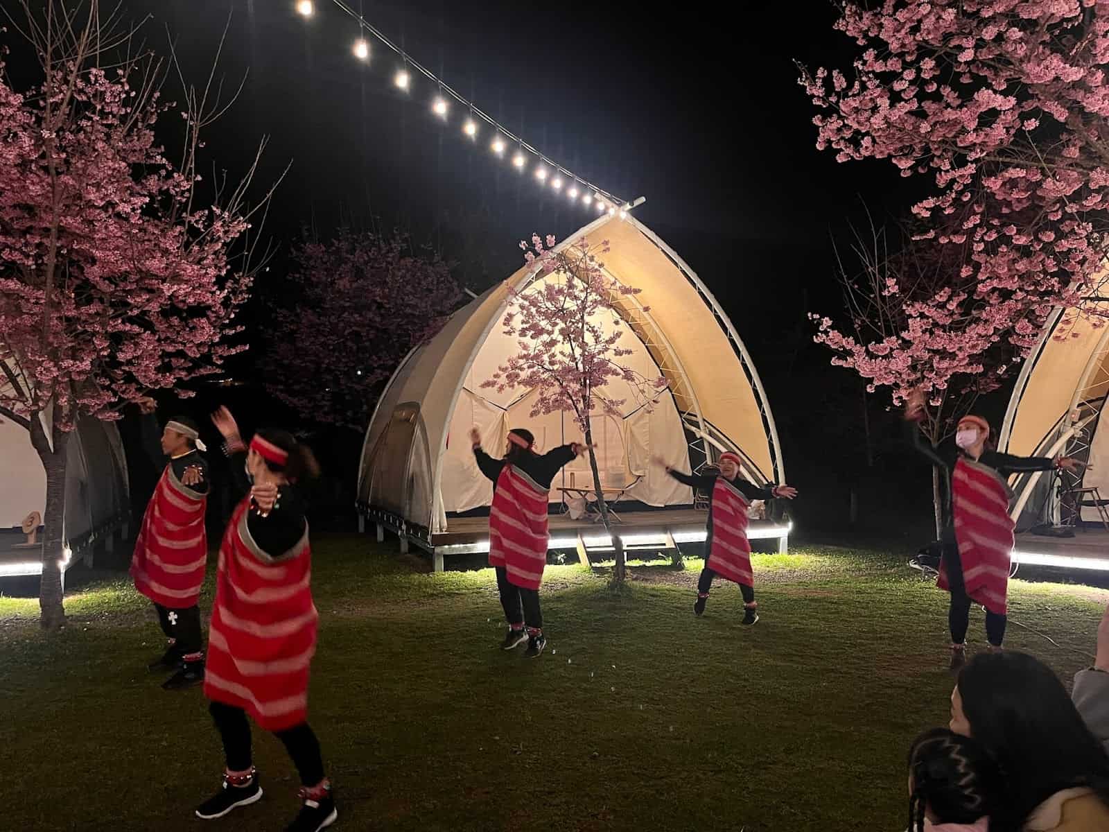 泰雅族舞蹈體驗：櫻花林下欣賞白蘭舞蹈班表演