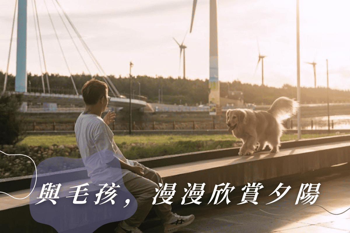 帶黃金獵犬去看夕陽