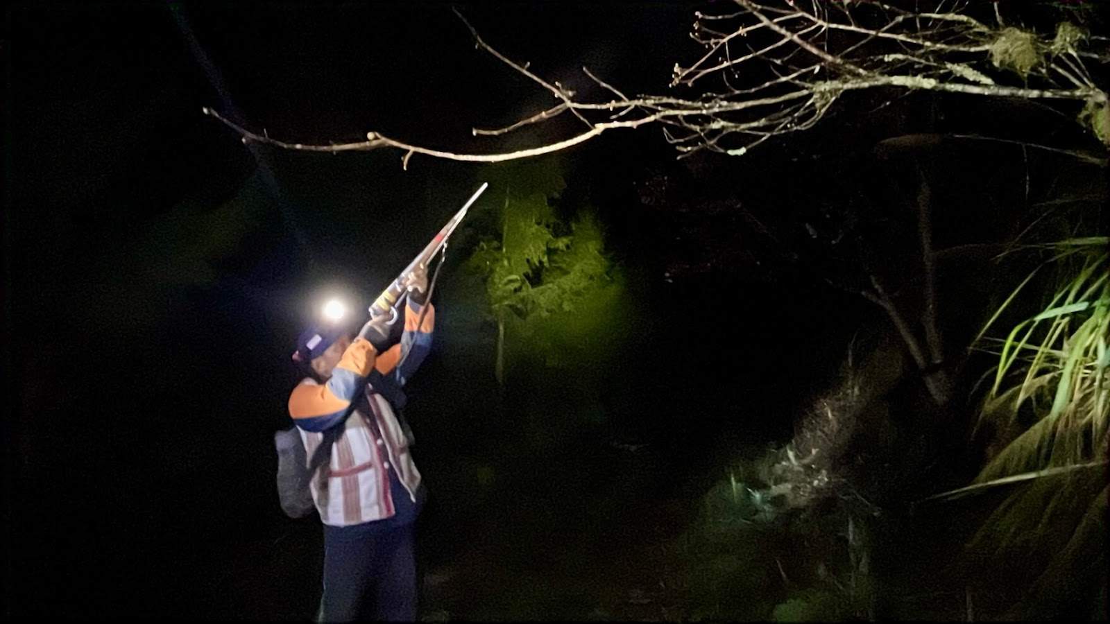 獵人體驗，瞄準獵物準備射擊