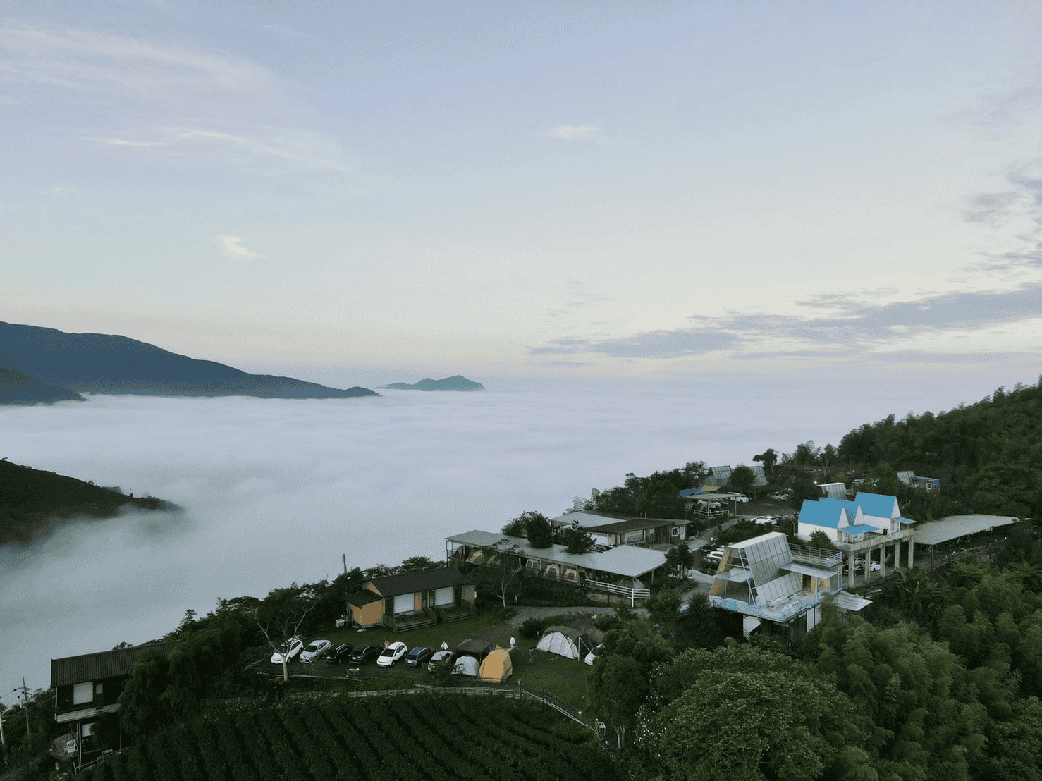 深山林內生態農場，有雲海
