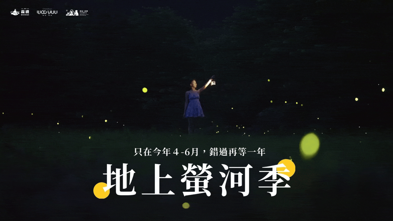 chasshuo firefly