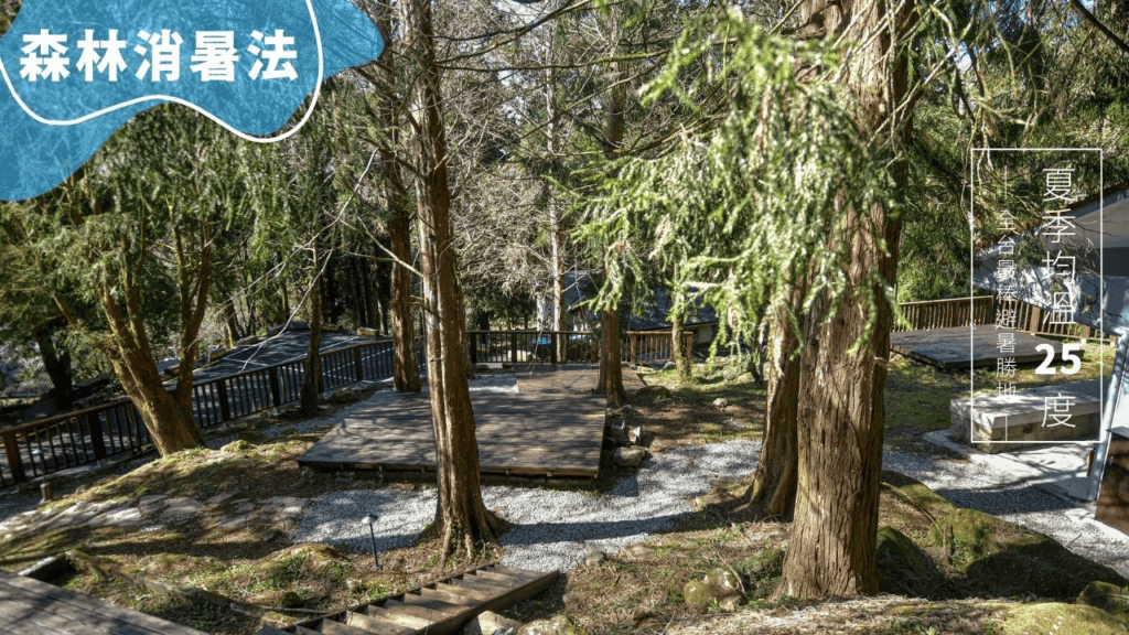 2025 夏天露營推薦|5 大森林避暑露營地,一泊二食、毛孩友善、冷泉泡湯,一文搞定! 5 溪頭生態露營區