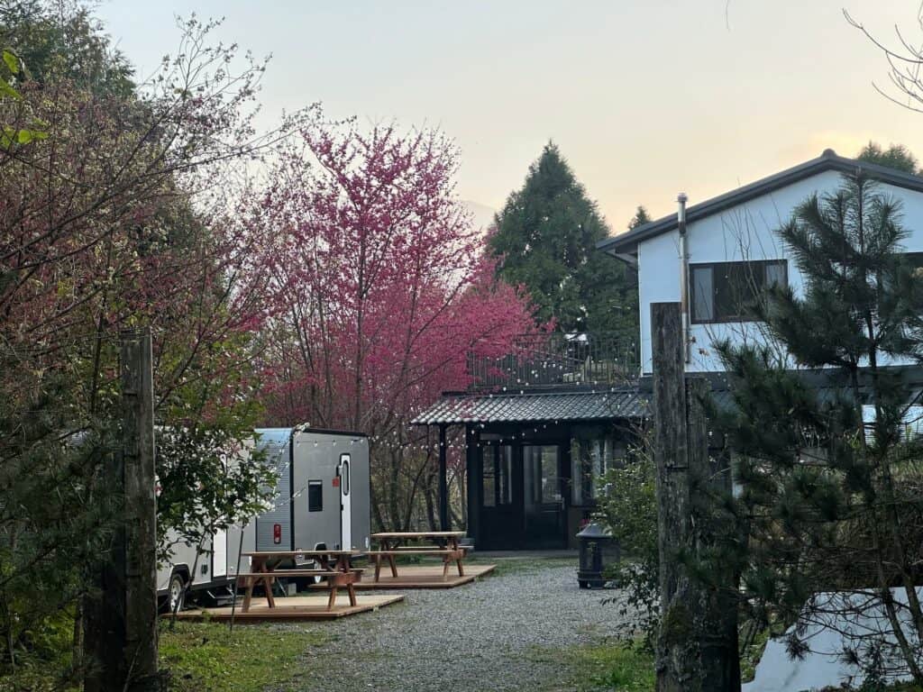 蟬說霧語櫻花樹下的露營車