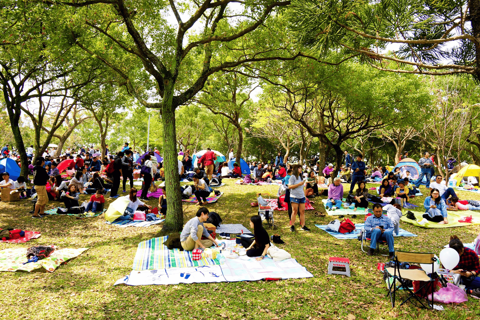 【2025 台北野餐】6個野餐地點推薦,從免裝備懶人包到山上野餐秘境一篇搞定! 11 台北野餐地點-大安森林公園