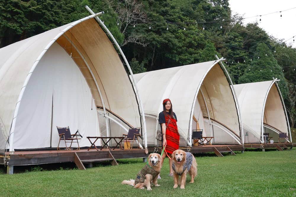 想來一場寵物派對?2025 最夯「狗聚」:參加蟬說主題派對完整攻略! 8 2雙大型黃金獵犬一起來懶人露營+寵物派對